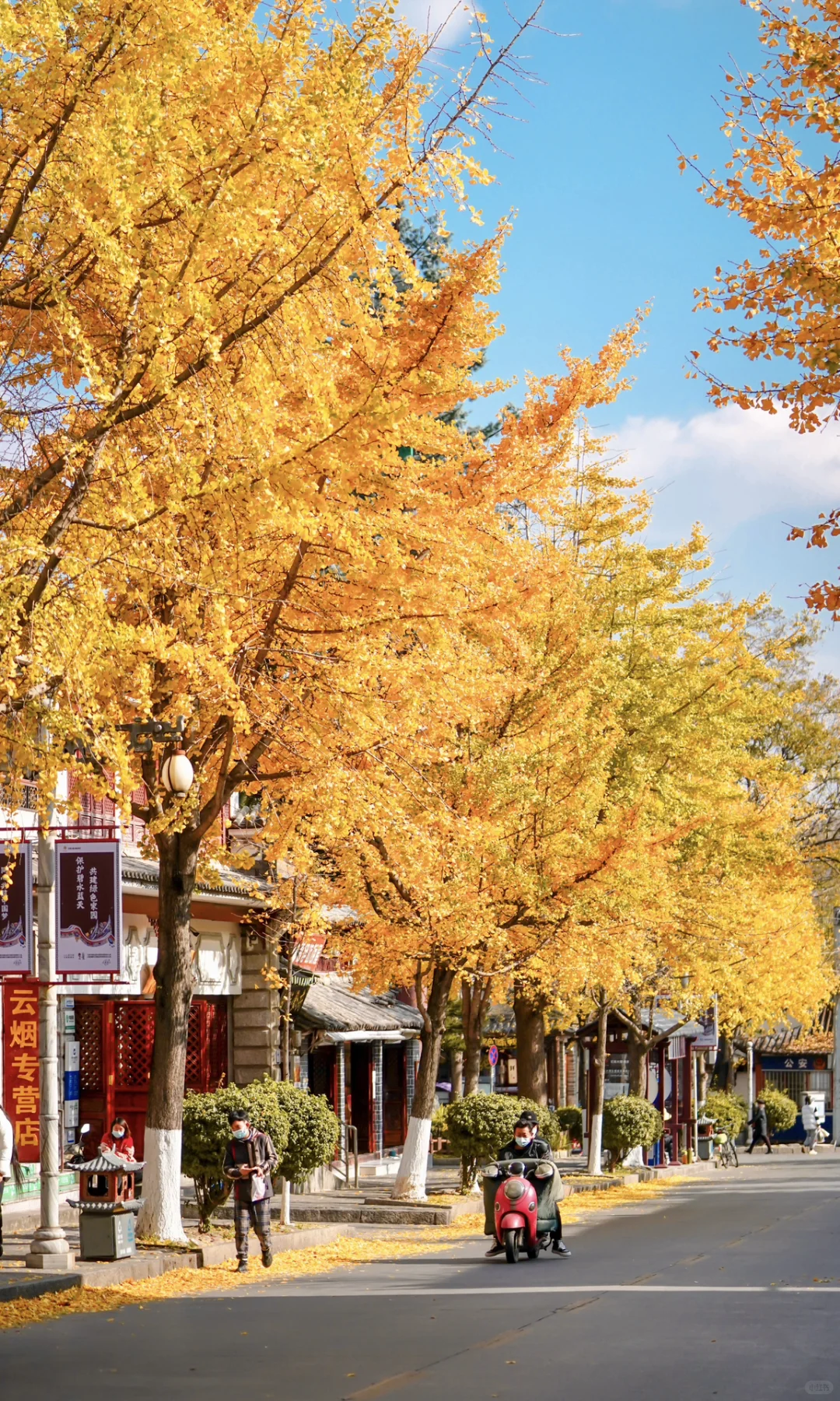 “推荐国内几个绝美秋色的世界级风景…