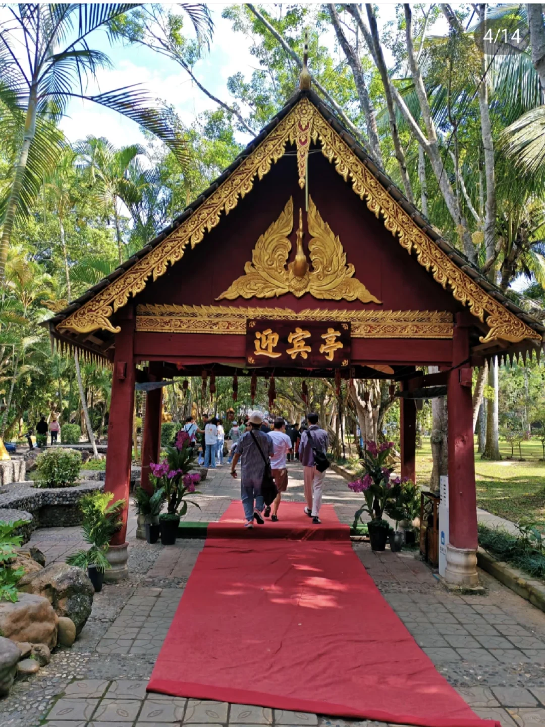 西双版纳傣族园泼水+套票优惠！太嗨啦！