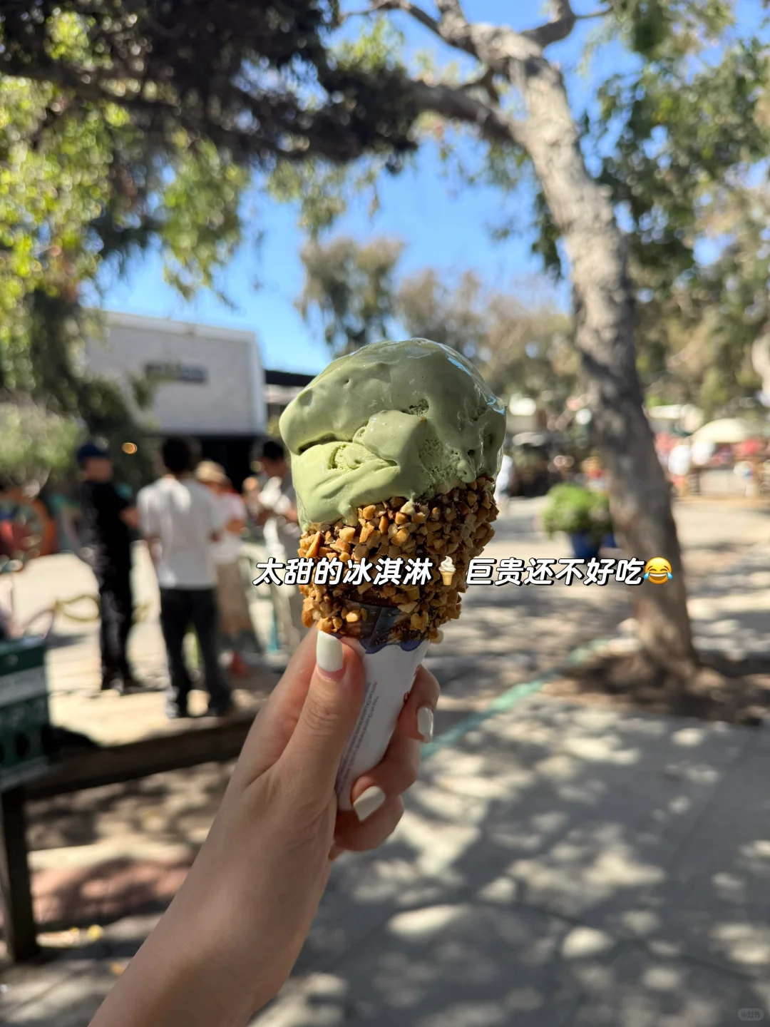 洛杉矶La🇺🇸|生活日记📔