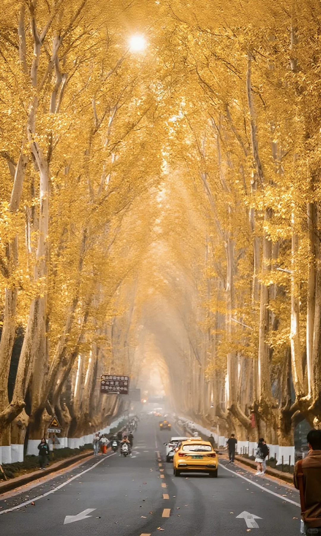 “推荐国内几个绝美秋色的世界级风景…