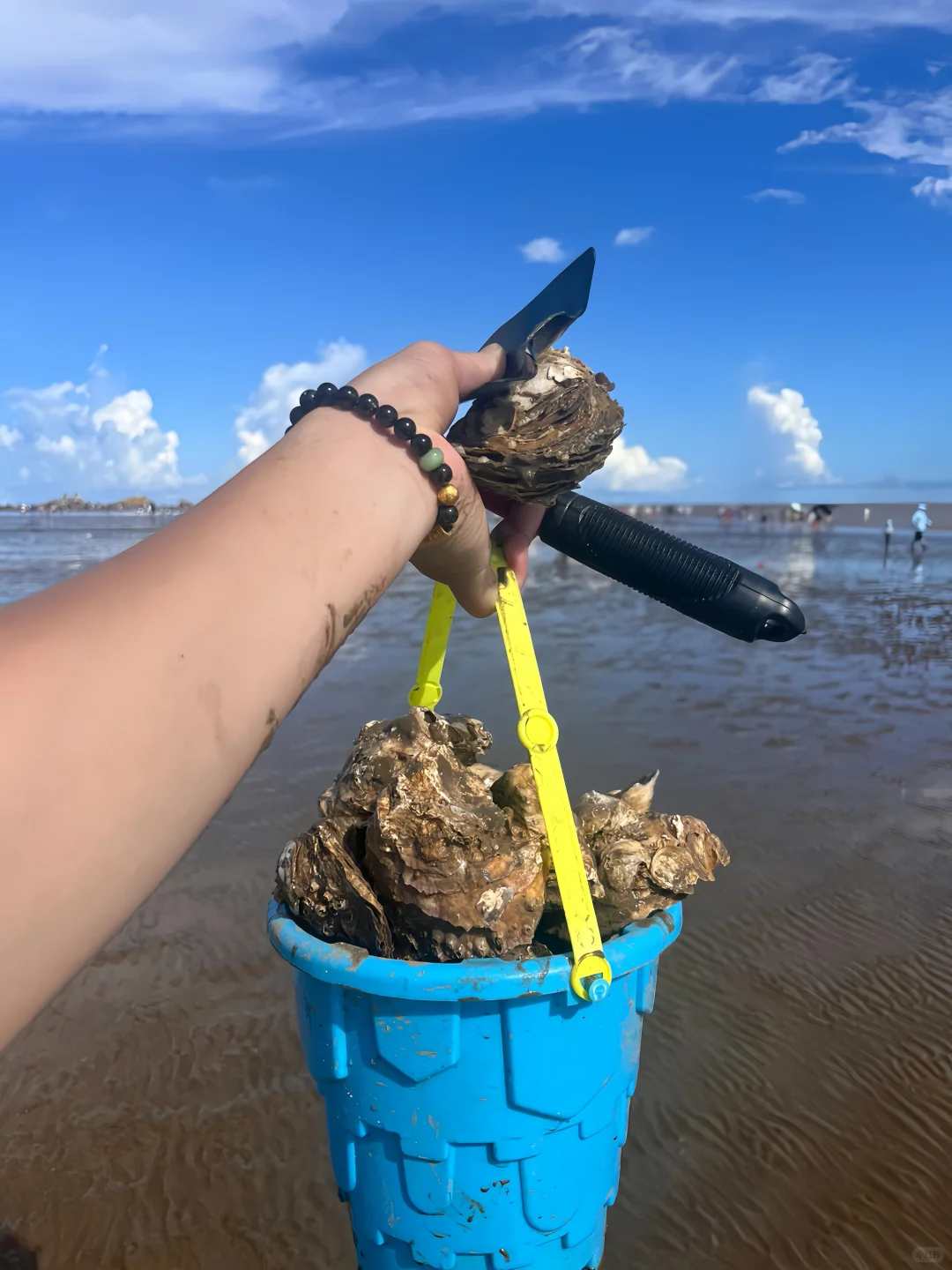珠海赶海好去处!收藏好这个位置,收获满满!