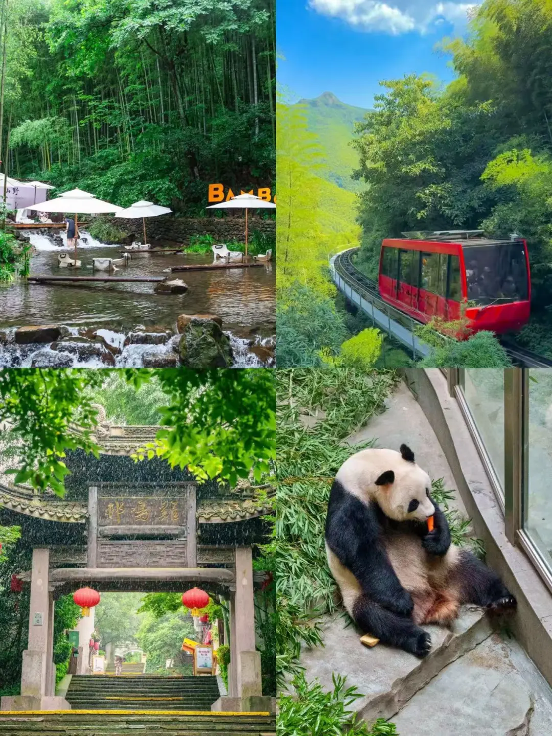 599承包天目湖3园!吃住玩全含太值了💦