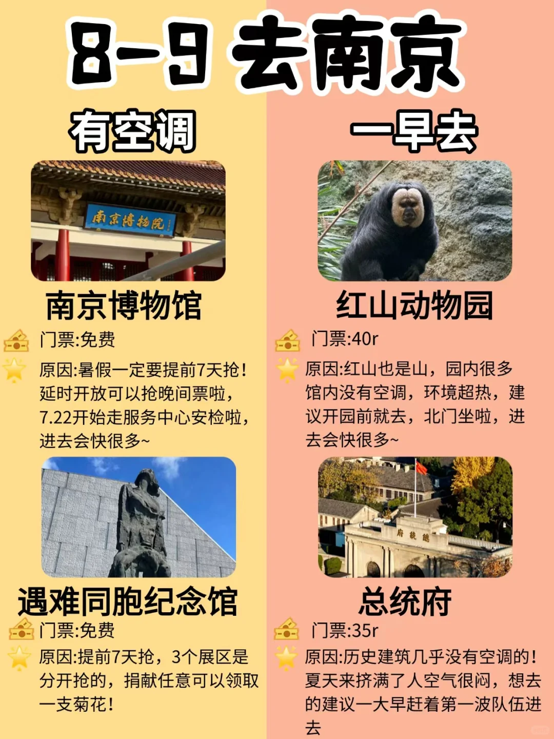 南京📍两天一夜✨旅游前必看❗❗️