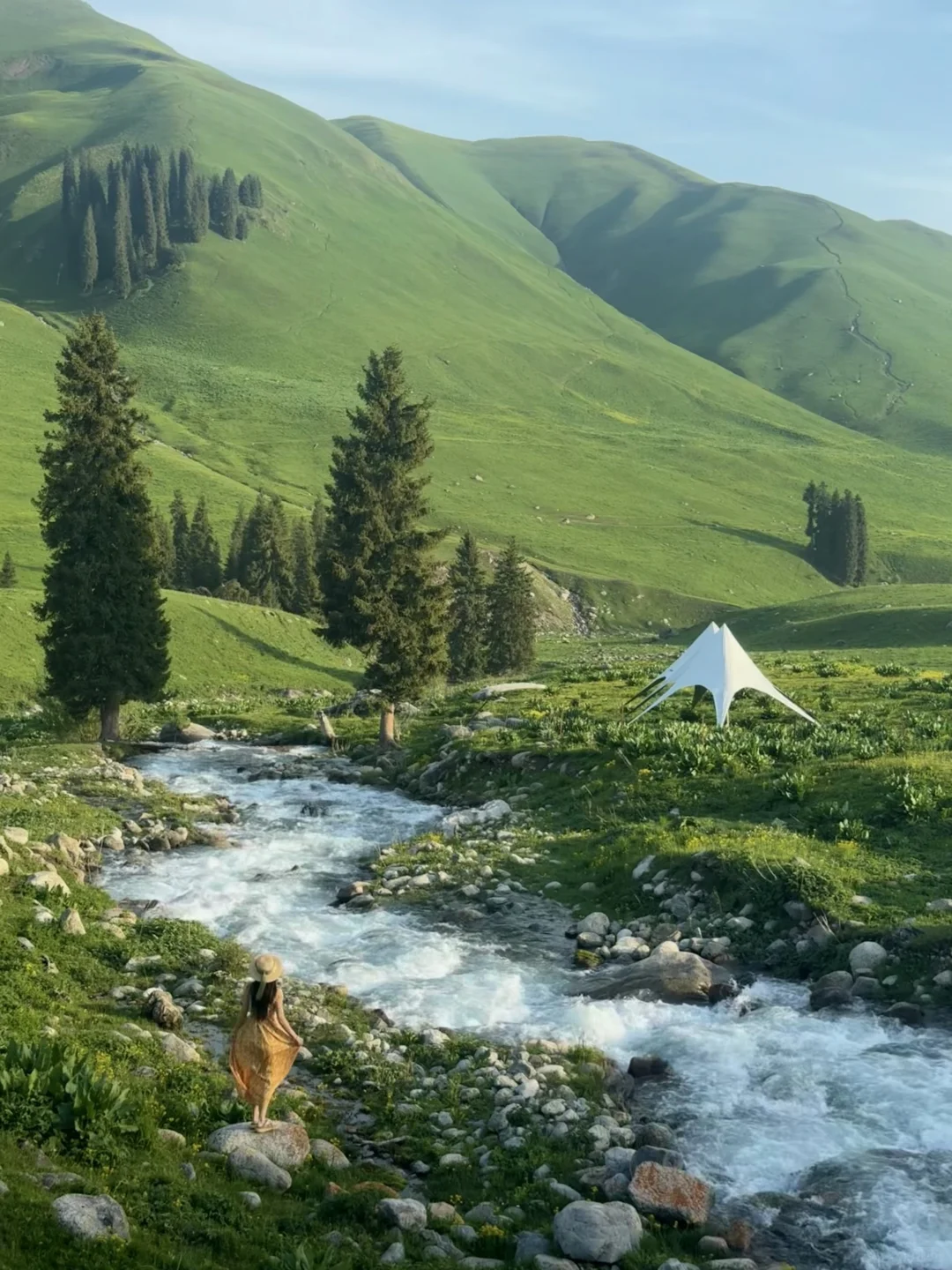 新疆这里今年一定会火！是live也是life🌲～