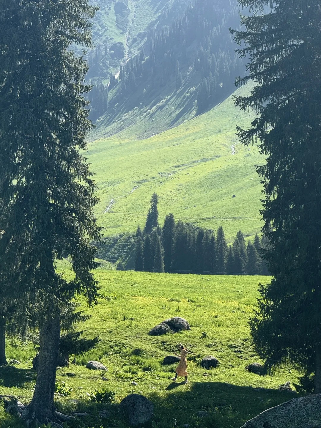 新疆这里今年一定会火！是live也是life🌲～