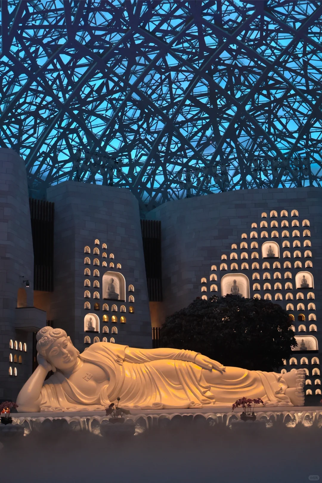 一个P人的自由行