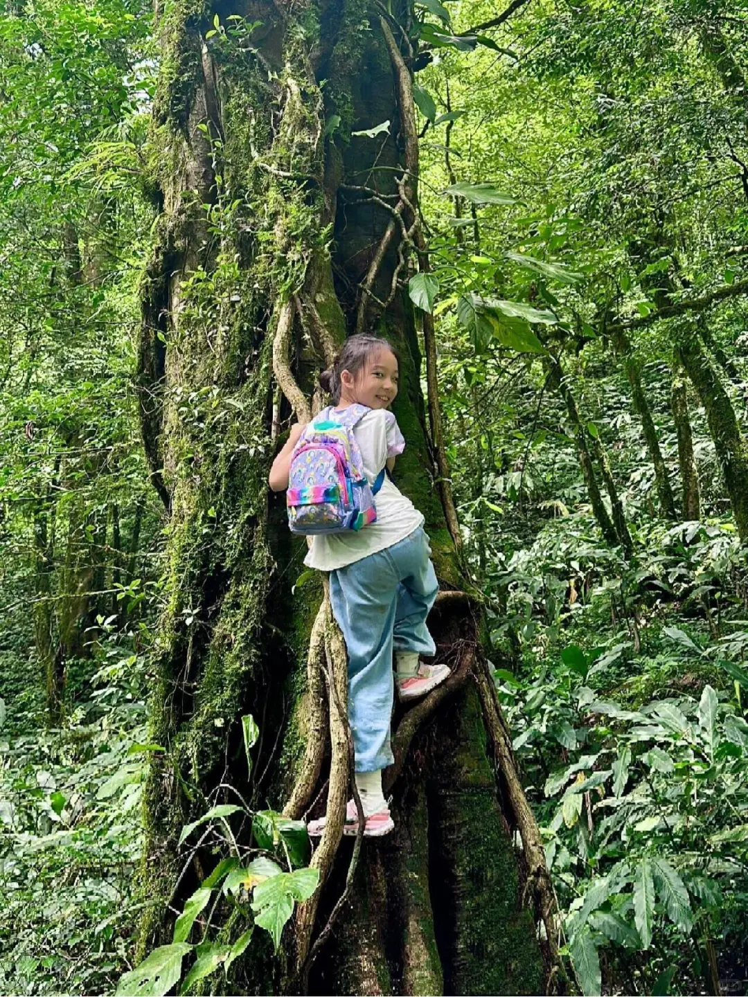 带儿子去了腾冲，这森林温泉比泰国还震撼！