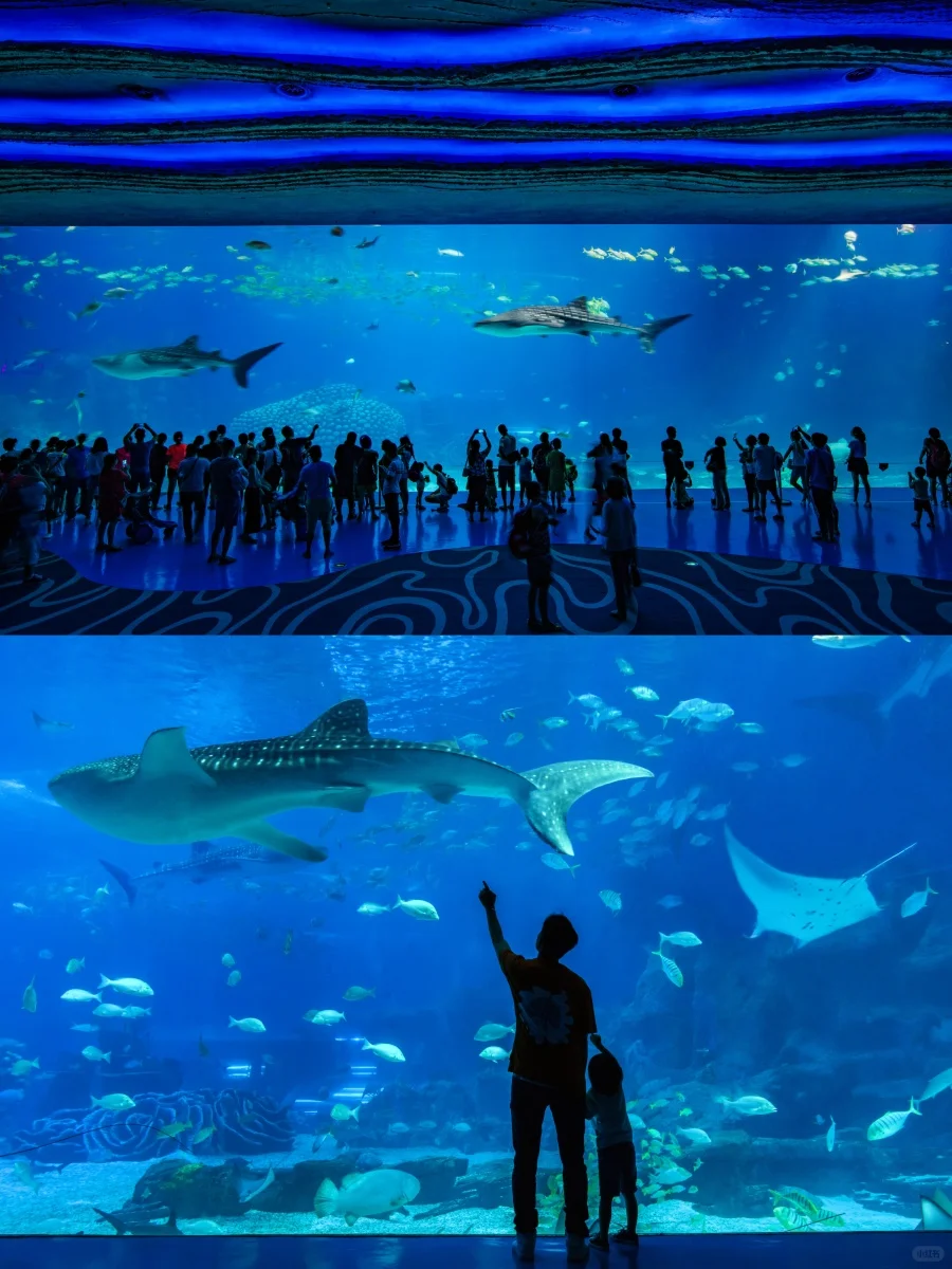 珠海长隆大事件！2天1晚价格直接“砍半”！