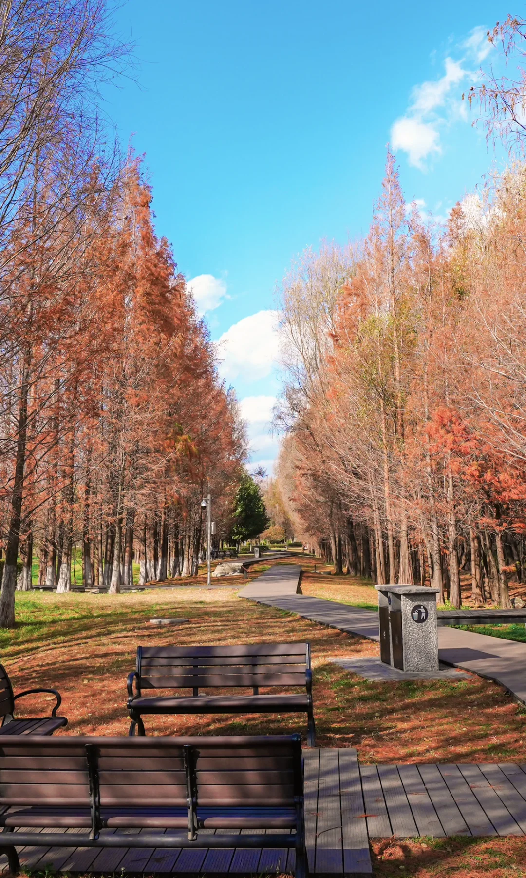 “推荐国内几个绝美秋色的世界级风景…