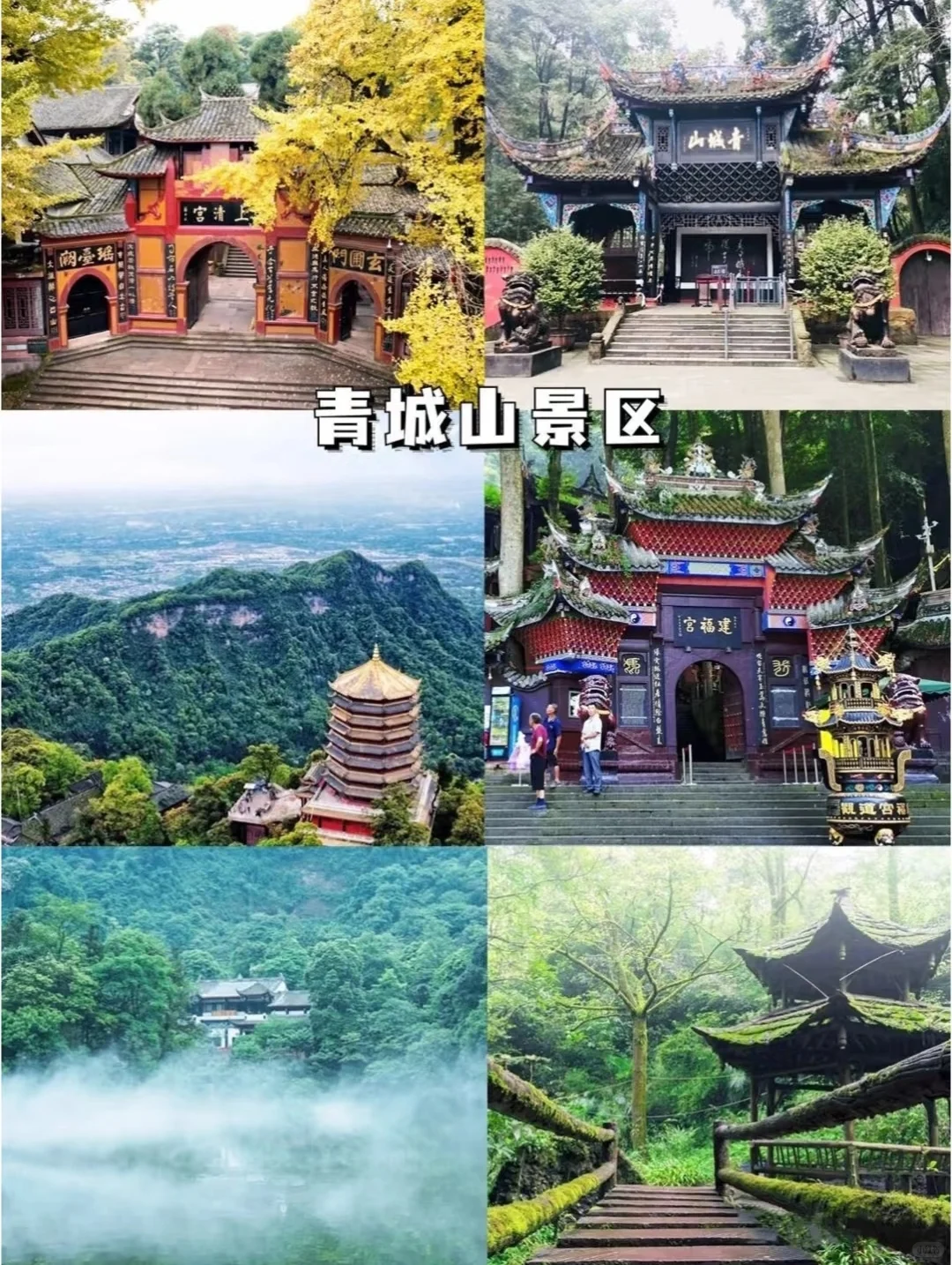 ⛰️四川旅游，看这一篇就够啦🌸🍃🀄️🐻四