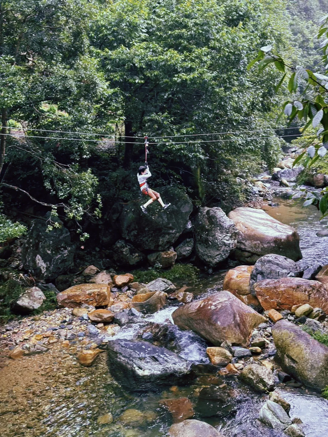 四天三晚，带娃不爬黄山玩到超嗨⚡️不想回来