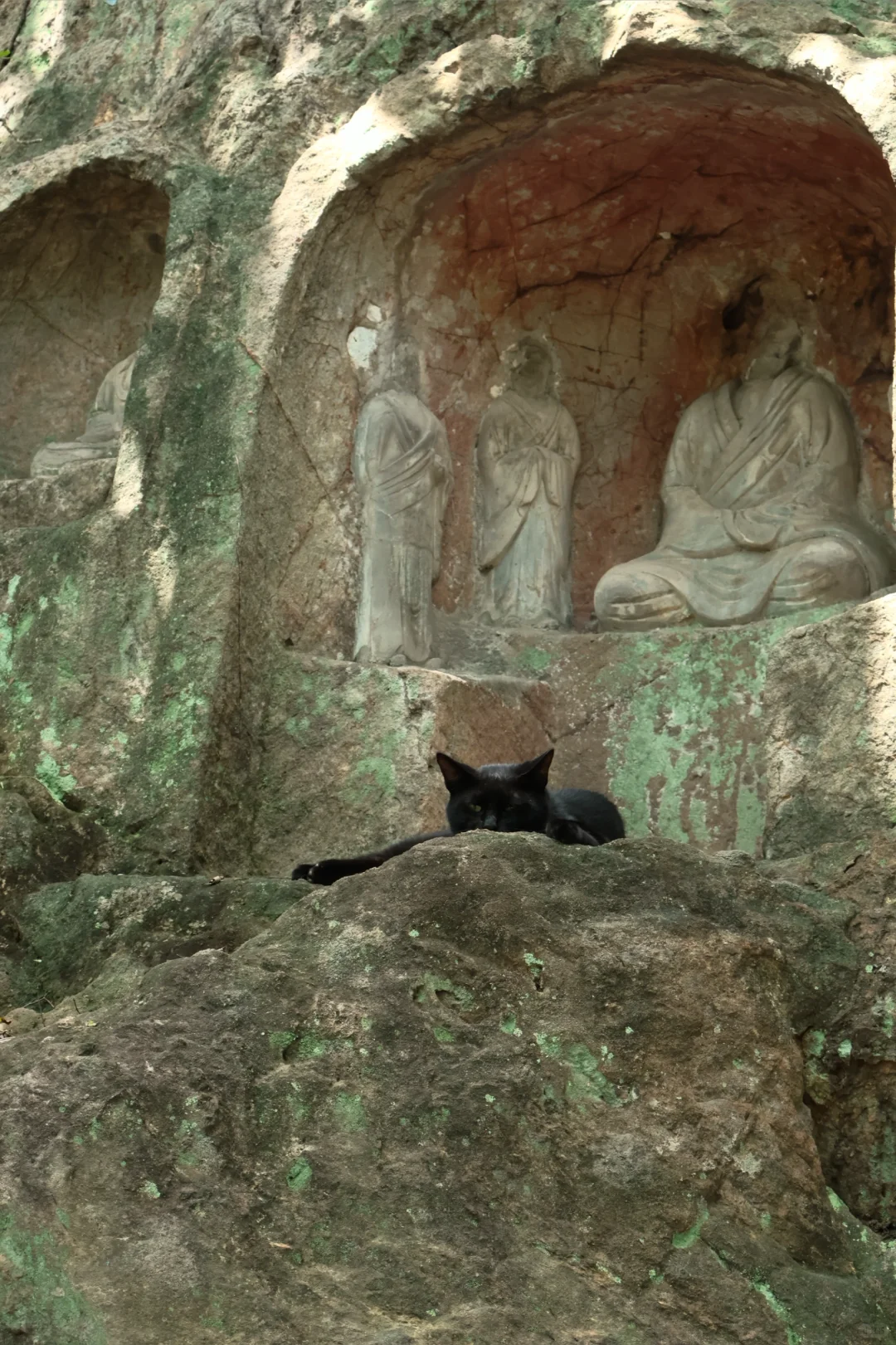 一个P人的自由行