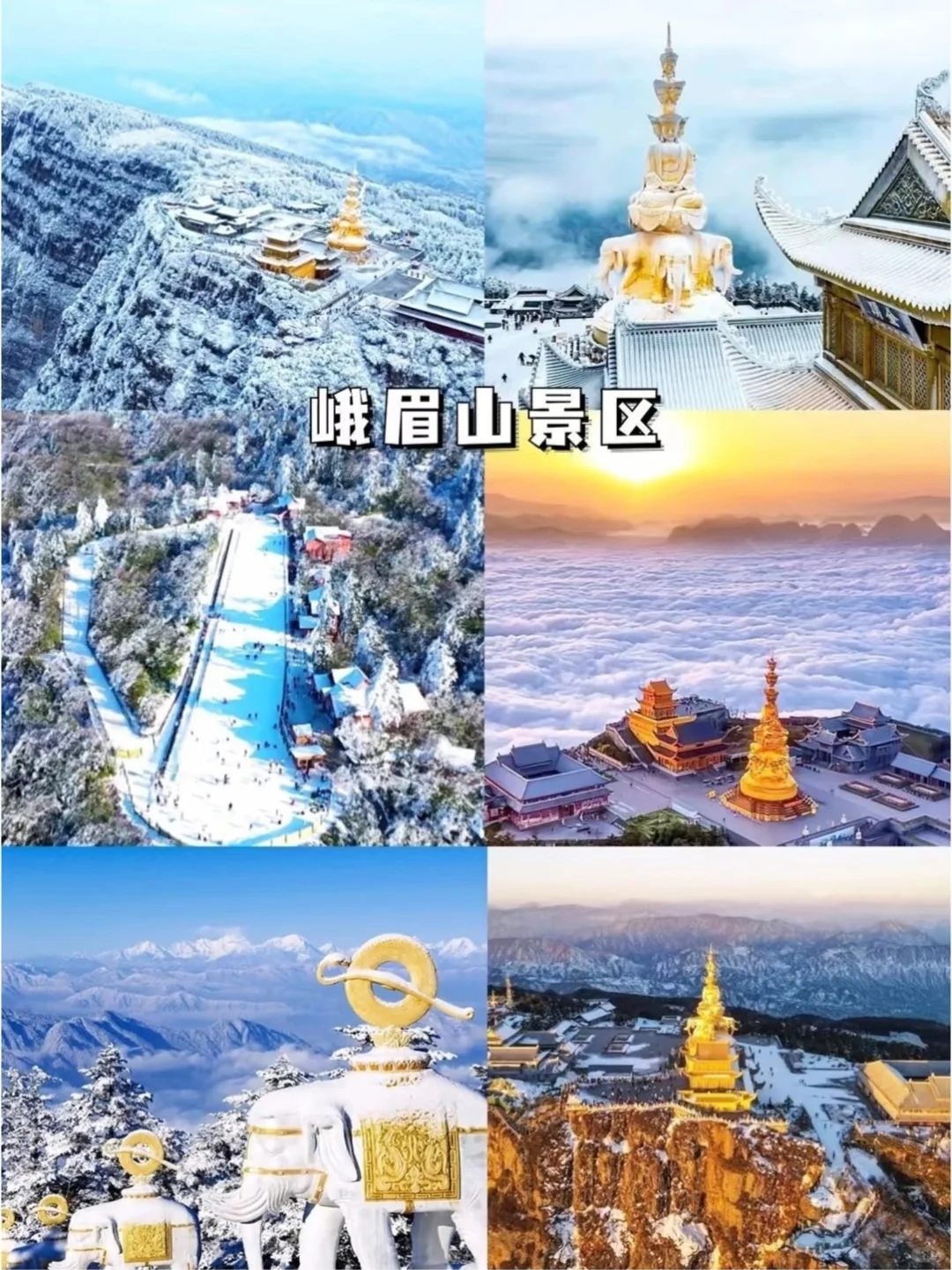 ⛰️四川旅游，看这一篇就够啦🌸🍃🀄️🐻四