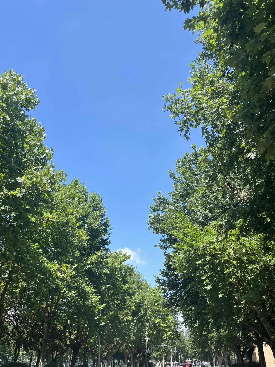 有哪些免签且消费不高的国外旅游城市？