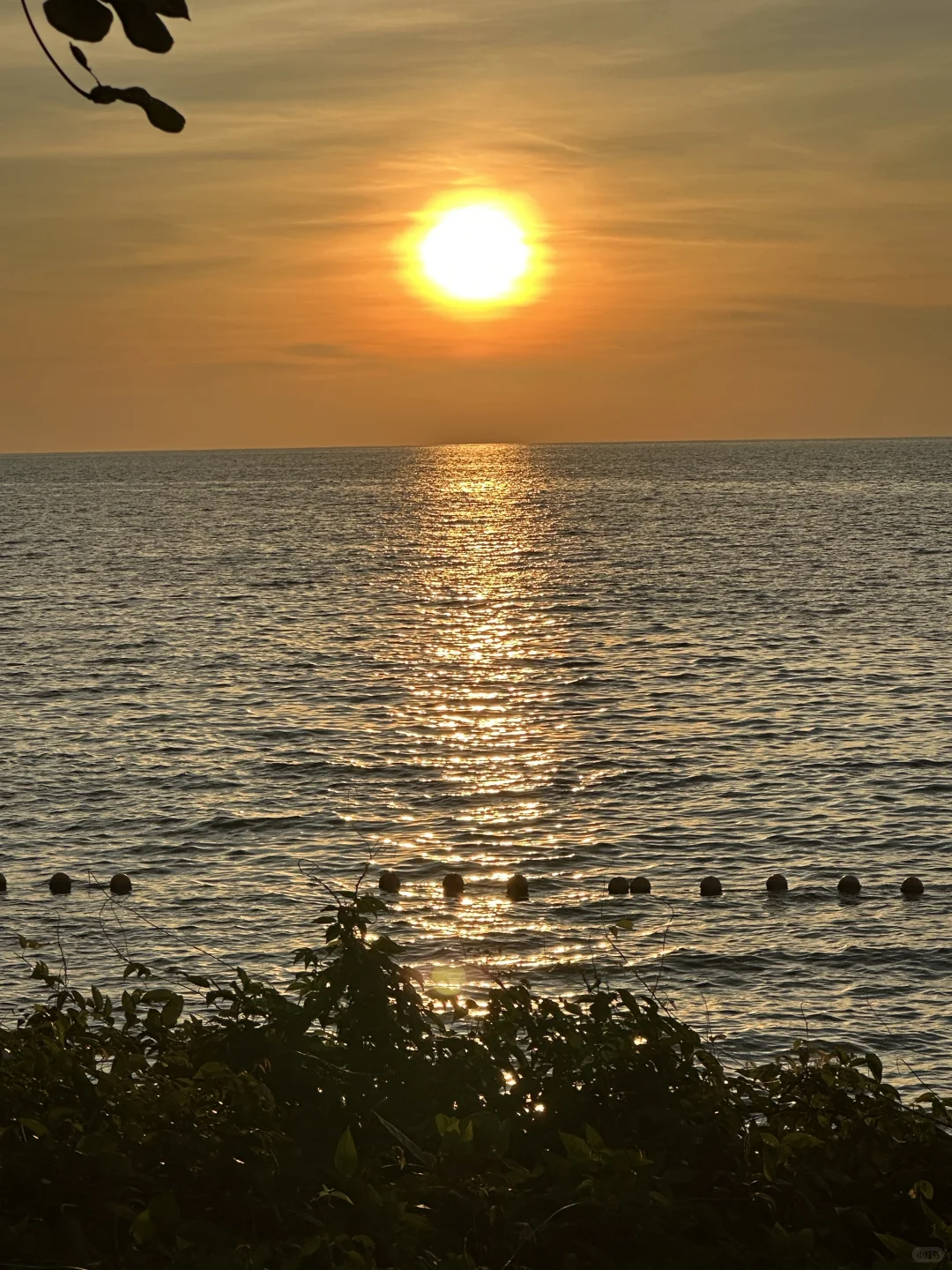 🇲🇾马来西亚4天3夜旅游攻略🌴