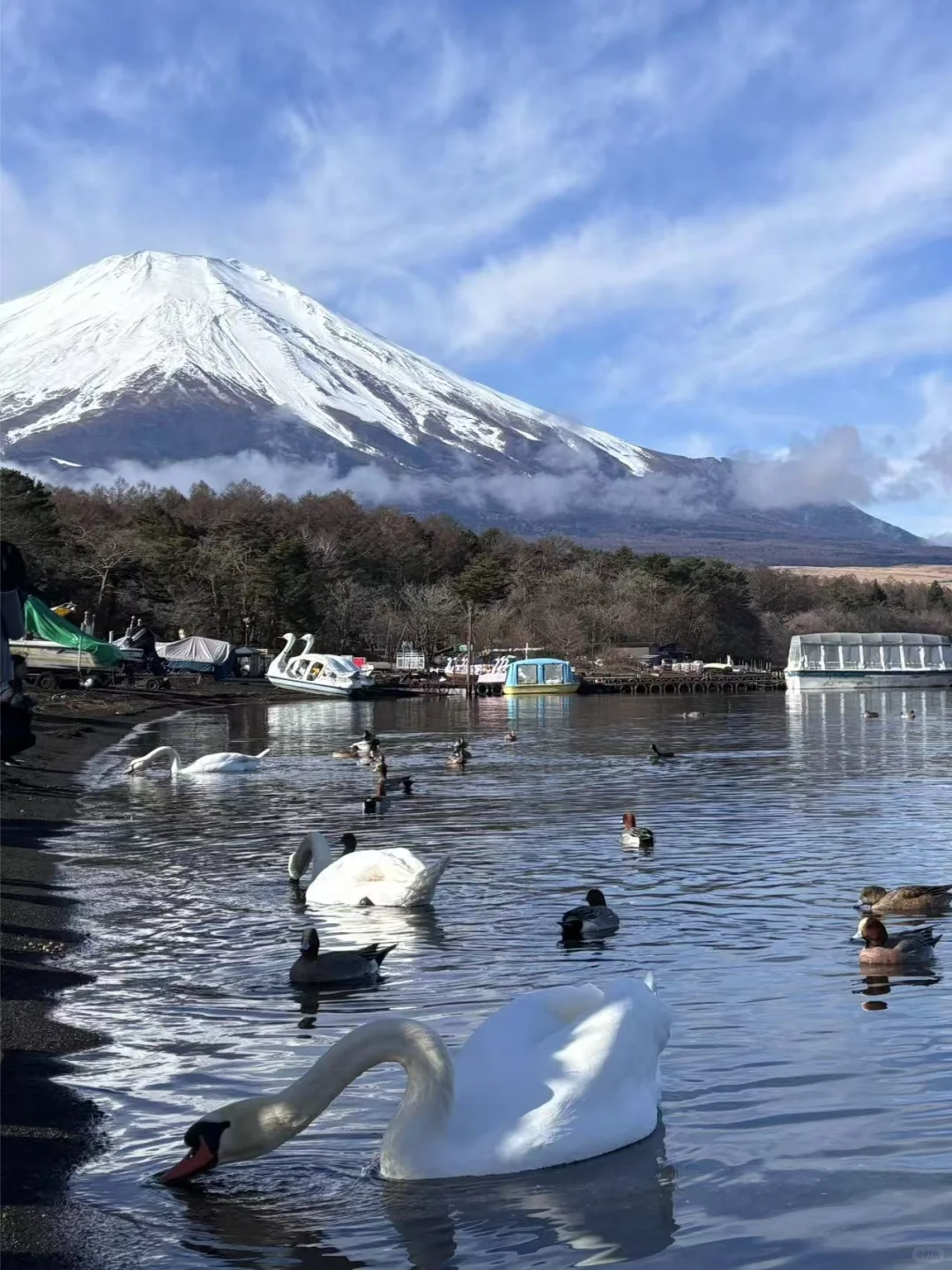 人生建议：第一次出国优先选择日本！