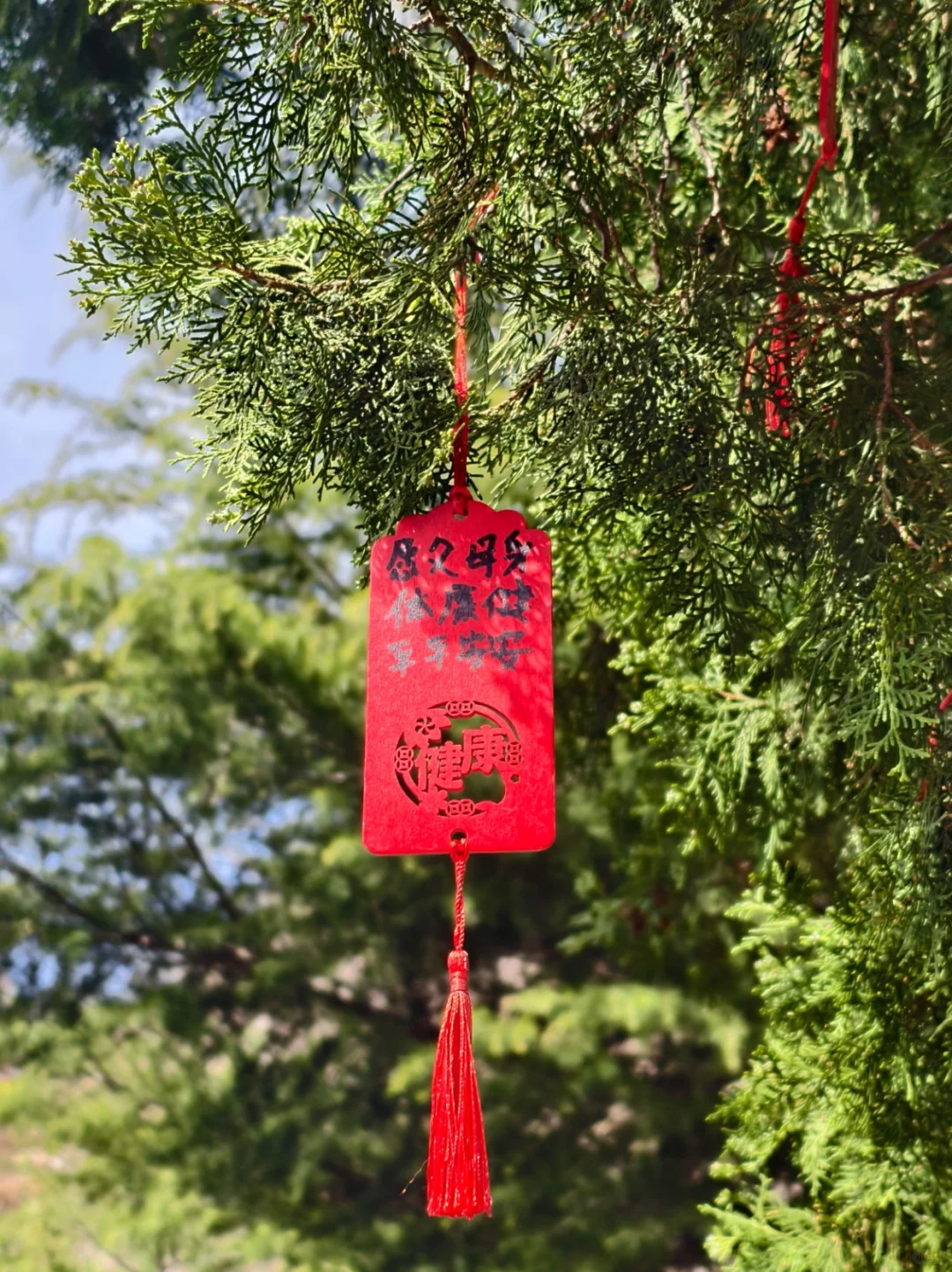 石家庄出发1h！北齐石窟太震撼了！