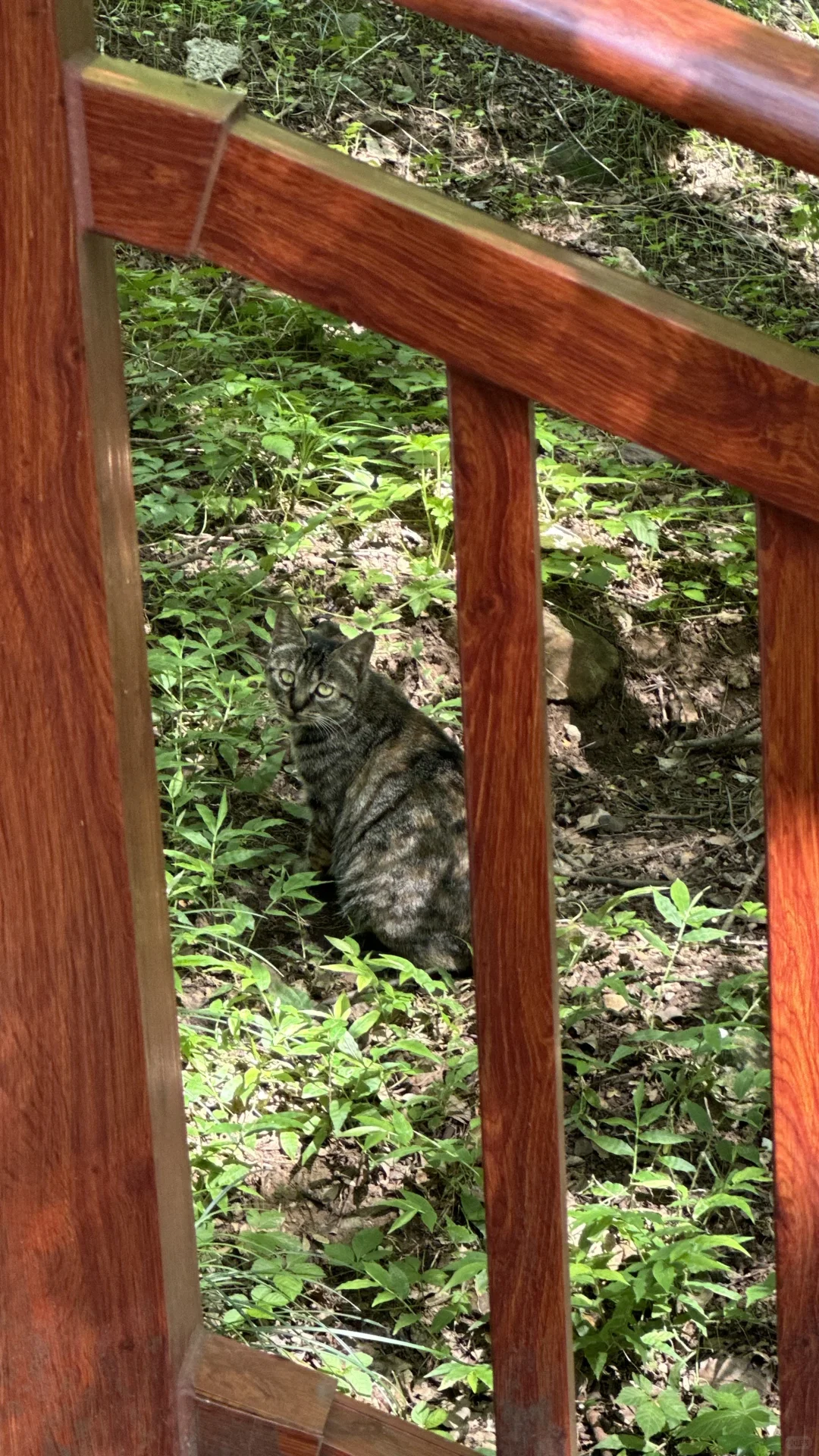 一个P人的自由行