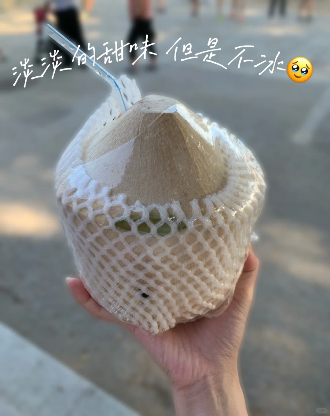 🦌plog/厦🌊/新人博主第1️⃣天双向奔赴🔁