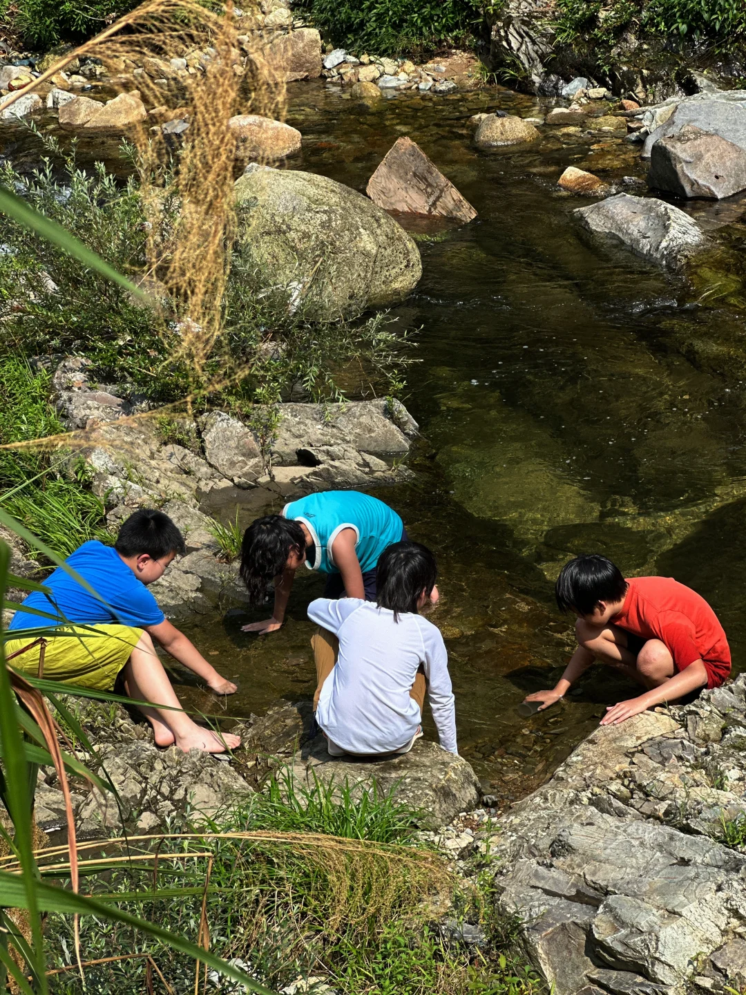 四天三晚，带娃不爬黄山玩到超嗨⚡️不想回来