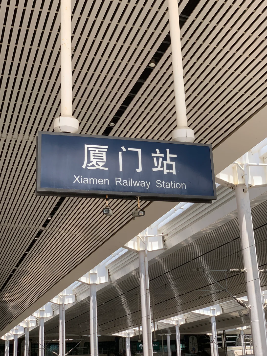 🦌plog/厦🌊/新人博主第1️⃣天双向奔赴🔁