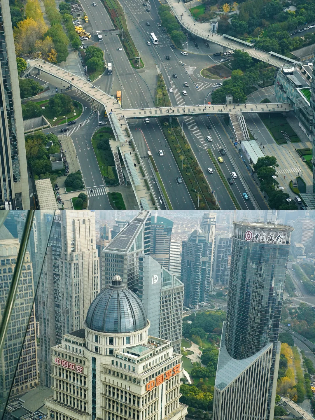 ✨来上海旅游，首选这条经典路线！