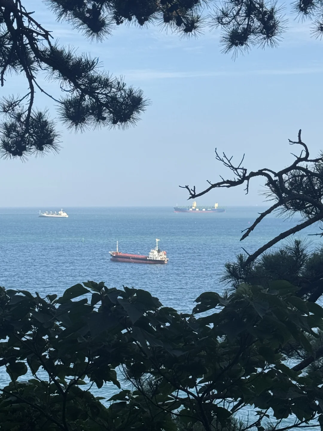 📍Korea丨旅游小记