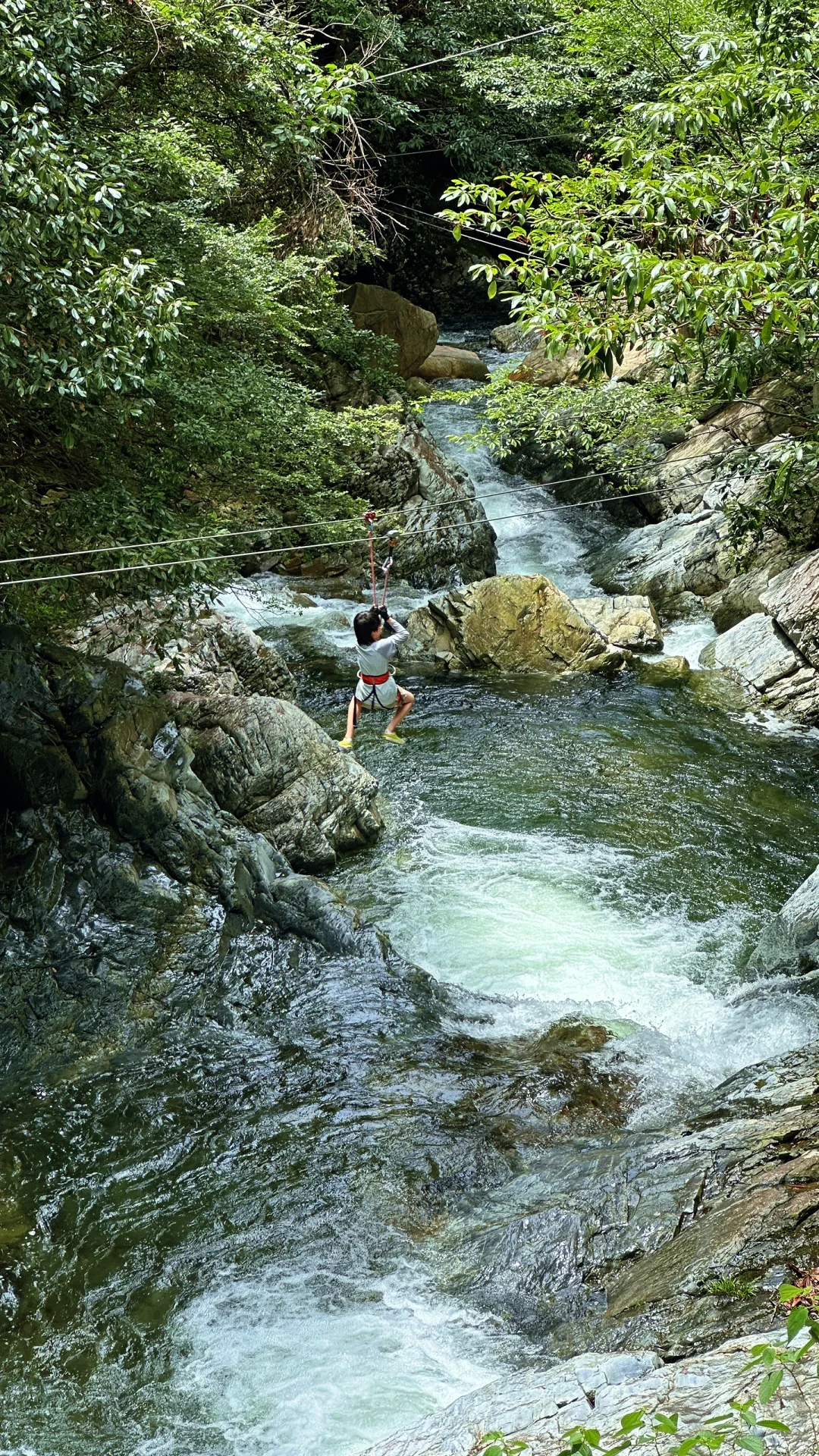 四天三晚，带娃不爬黄山玩到超嗨⚡️不想回来
