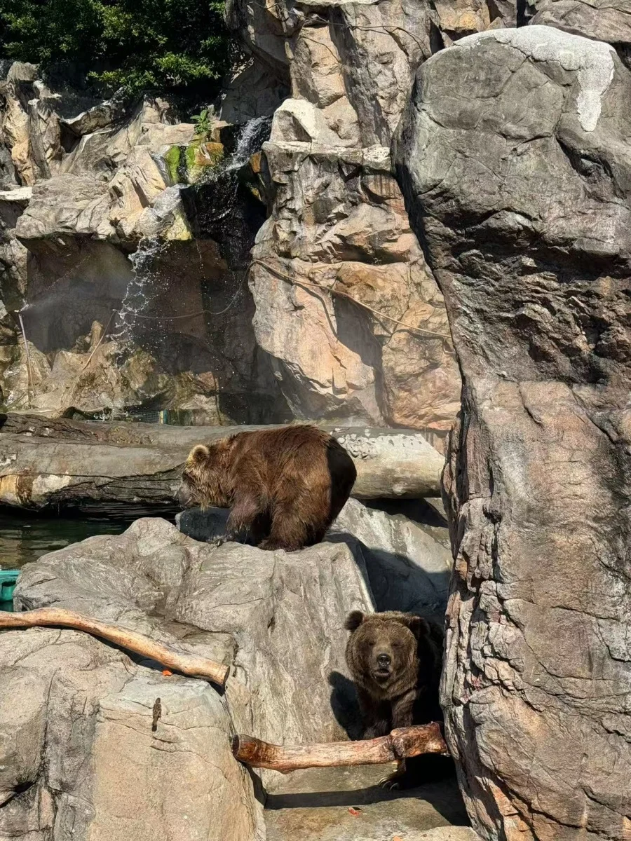 珠海长隆大事件！2天1晚价格直接“砍半”！