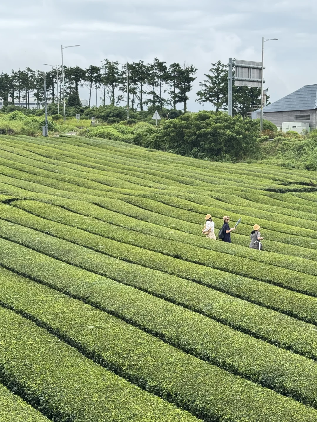 📍Korea丨旅游小记