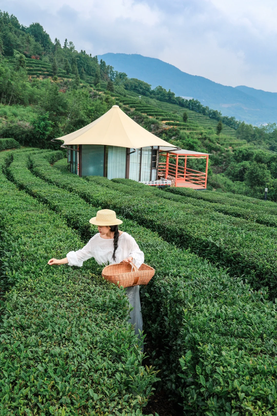 迄今为止，我最喜欢的避暑小城出现了！