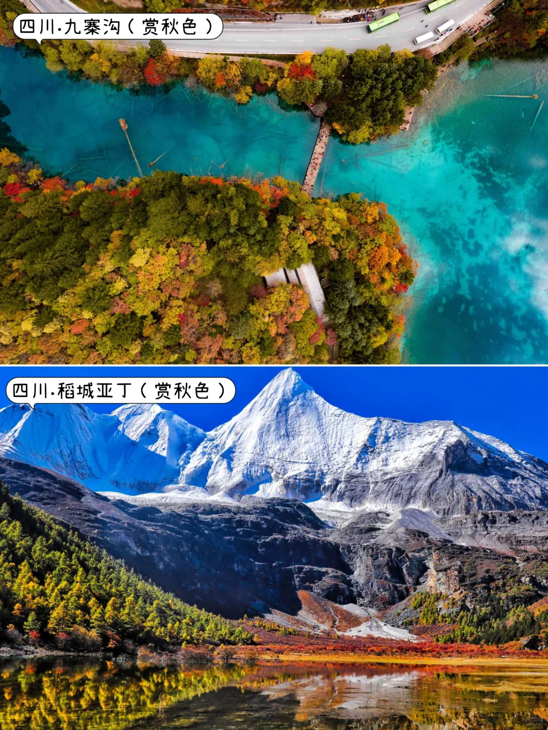 ✨国内9-11月去哪玩？｜中秋.国庆.秋天旅游