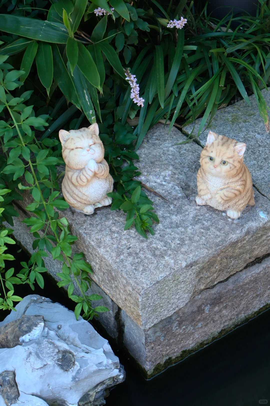 一个P人的自由行