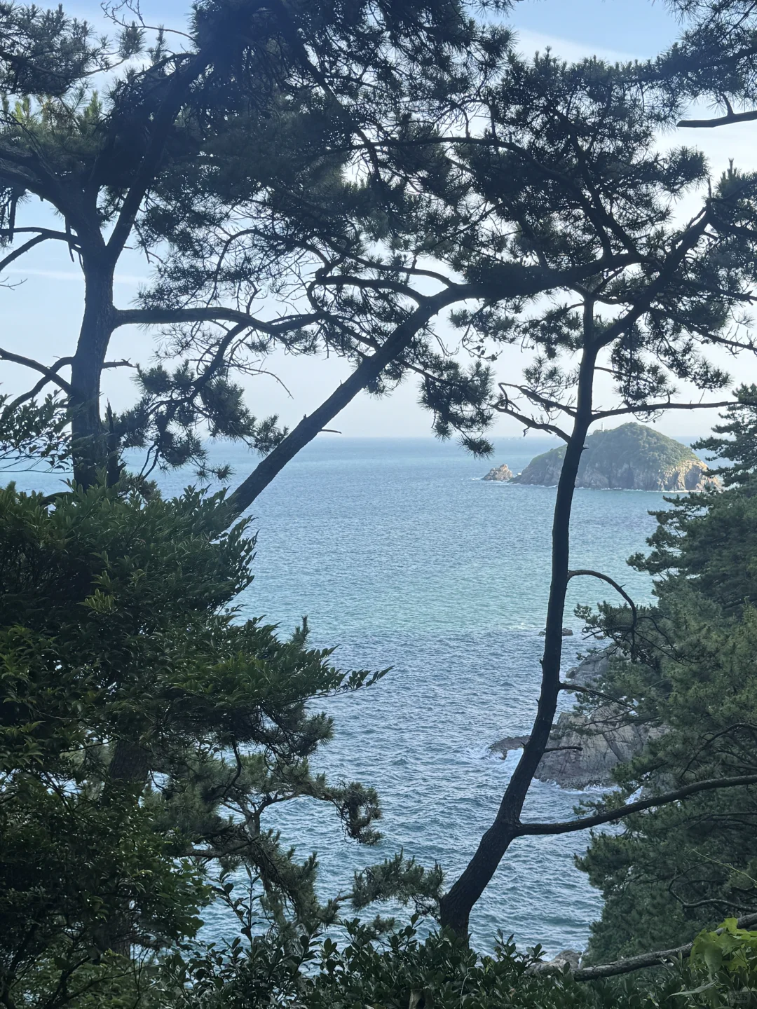 📍Korea丨旅游小记