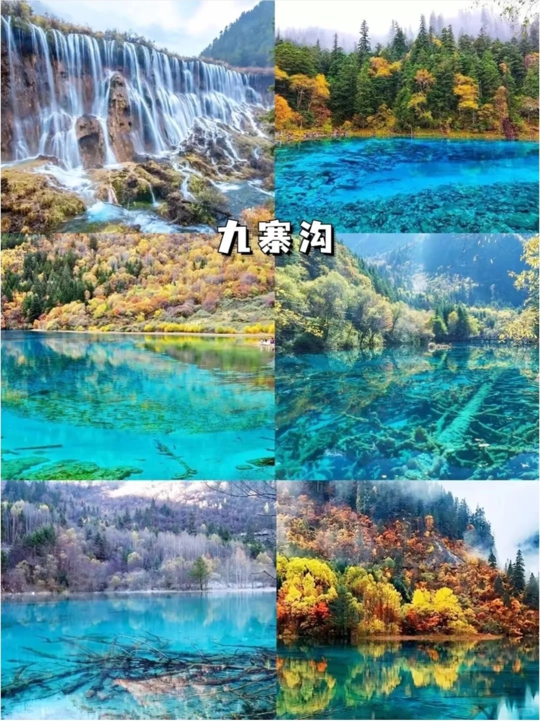 ⛰️四川旅游，看这一篇就够啦🌸🍃🀄️🐻四