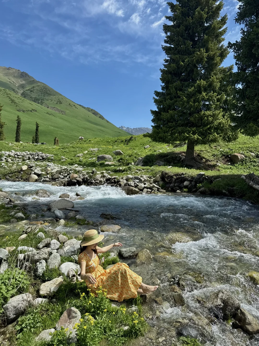 新疆这里今年一定会火！是live也是life🌲～