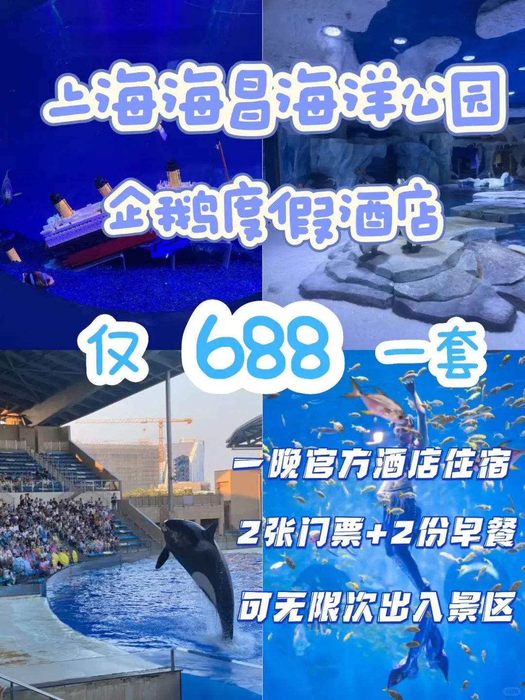 ✨上海海昌海洋公园·企鹅度假~无限次出入