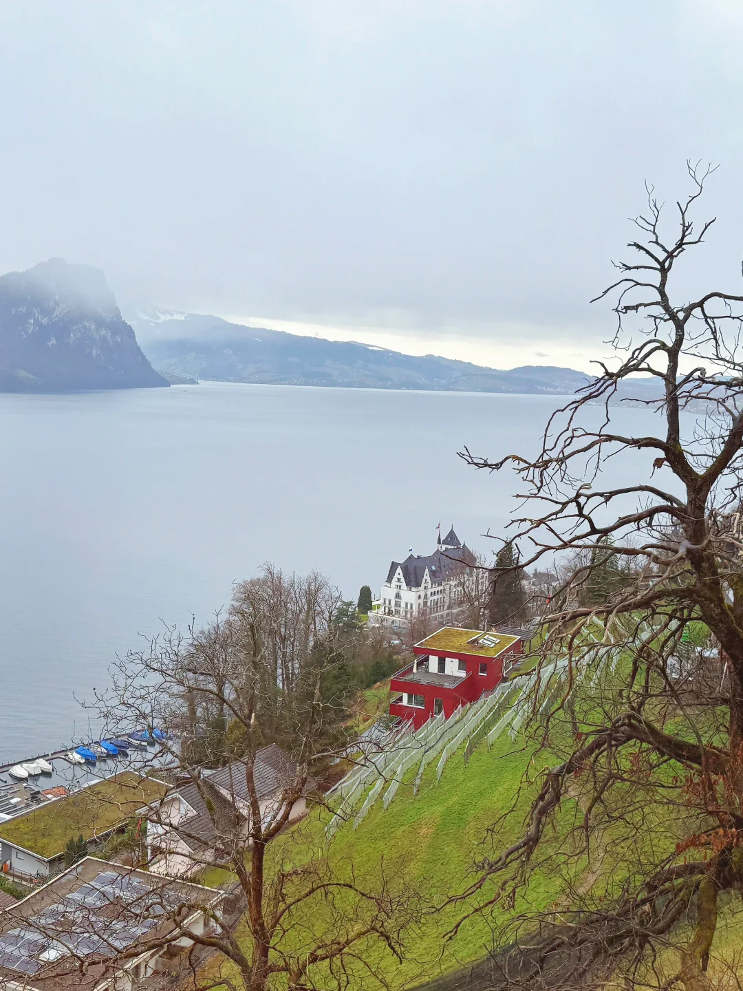 第一次去欧洲玩，自由行还是跟团？🤔（纯干货）