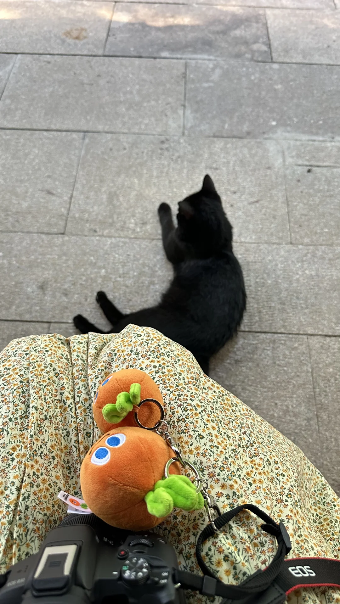 一个P人的自由行