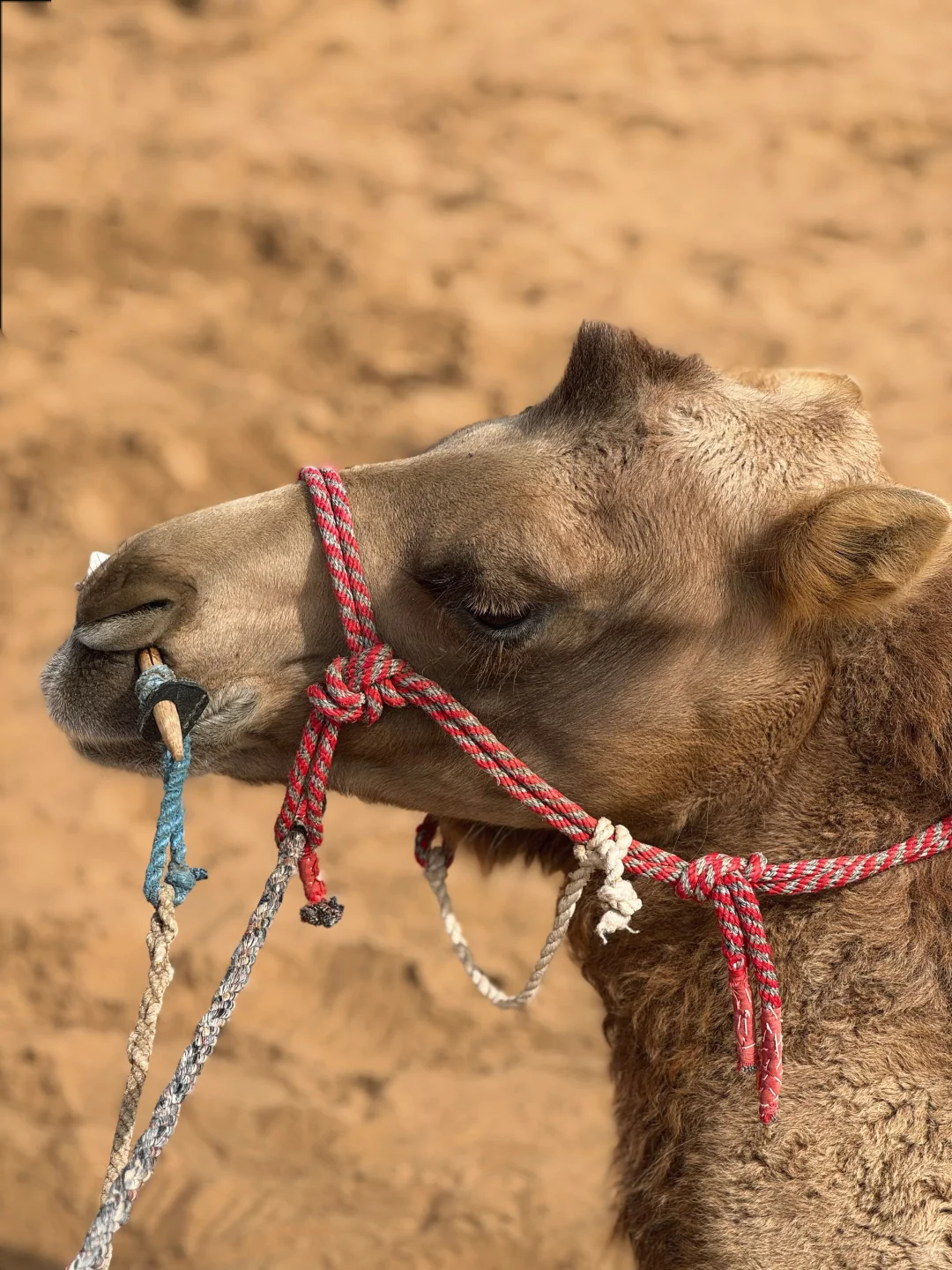 国庆不想人挤人？这个小众城市你一定要知道！