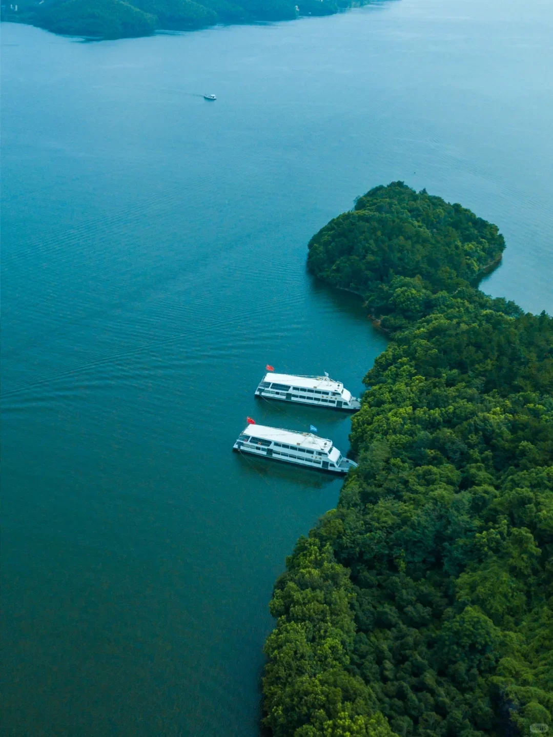 599承包天目湖3园!吃住玩全含太值了💦