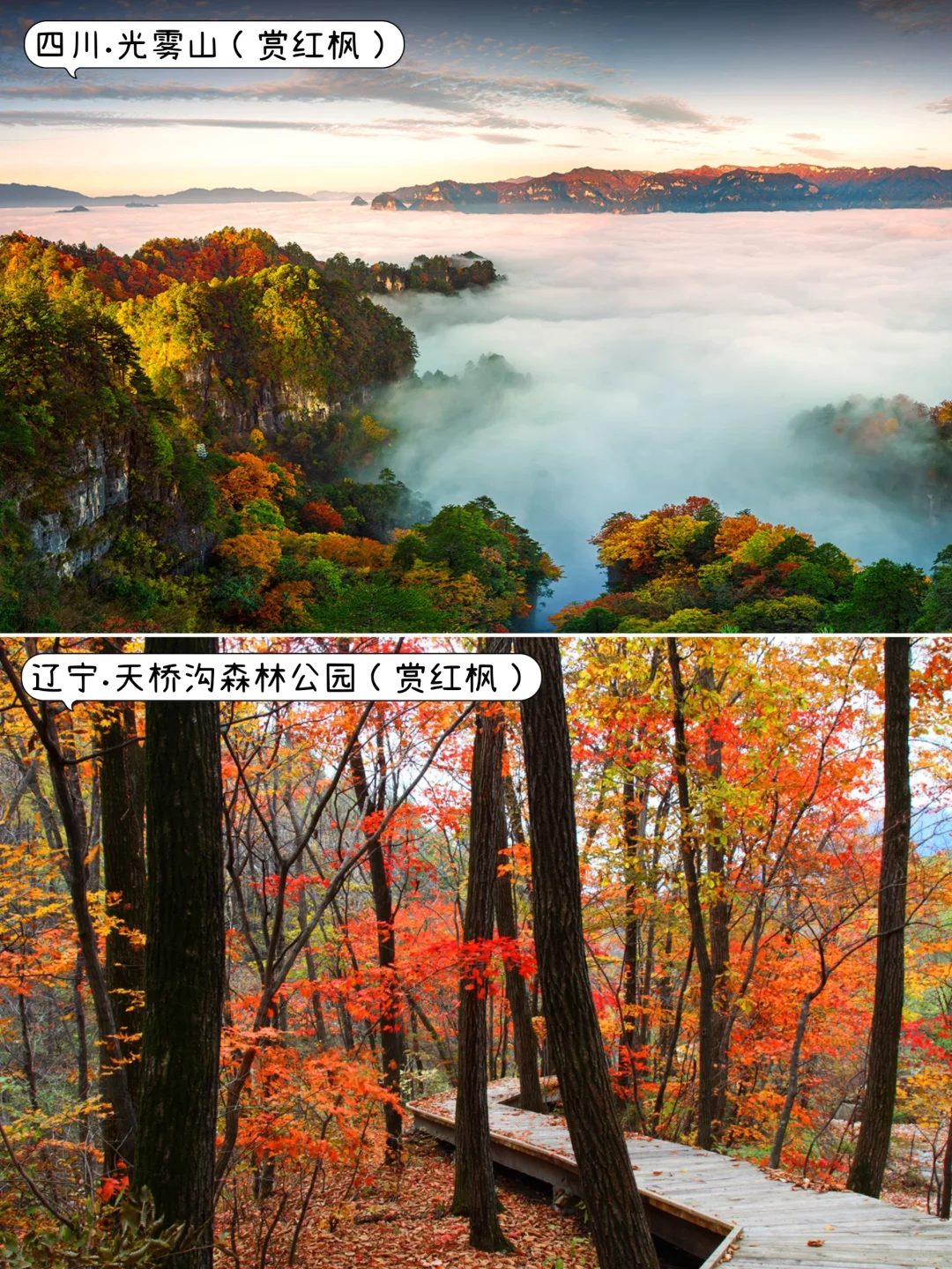 ✨国内9-11月去哪玩？｜中秋.国庆.秋天旅游