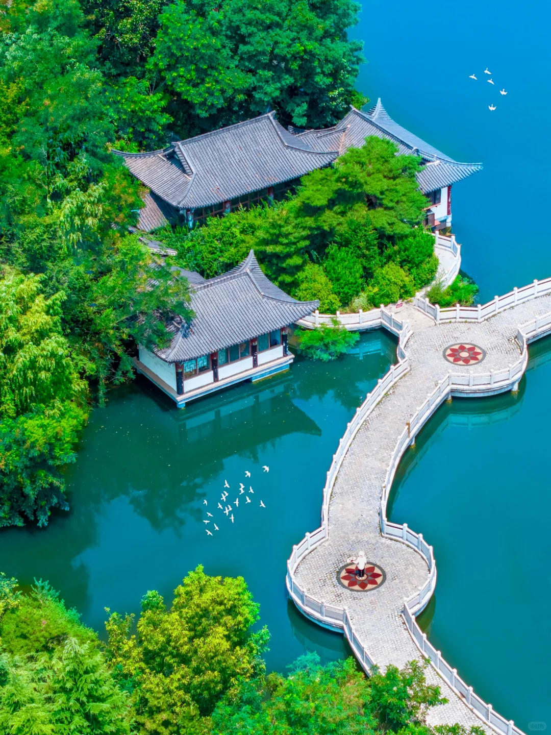 迄今为止‼️我最喜欢的山东宝藏小城出现了…