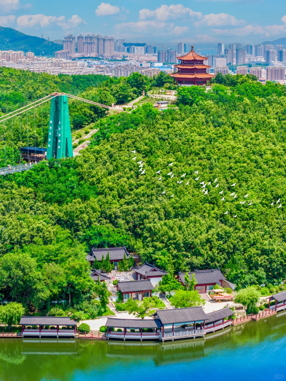 迄今为止‼️我最喜欢的山东宝藏小城出现了…