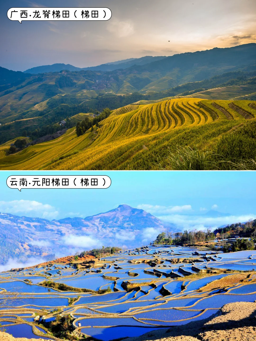 ✨国内9-11月去哪玩？｜中秋.国庆.秋天旅游