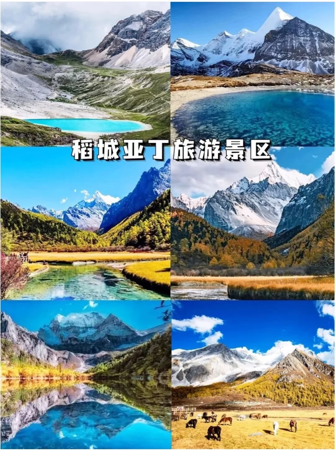 ⛰️四川旅游，看这一篇就够啦🌸🍃🀄️🐻四