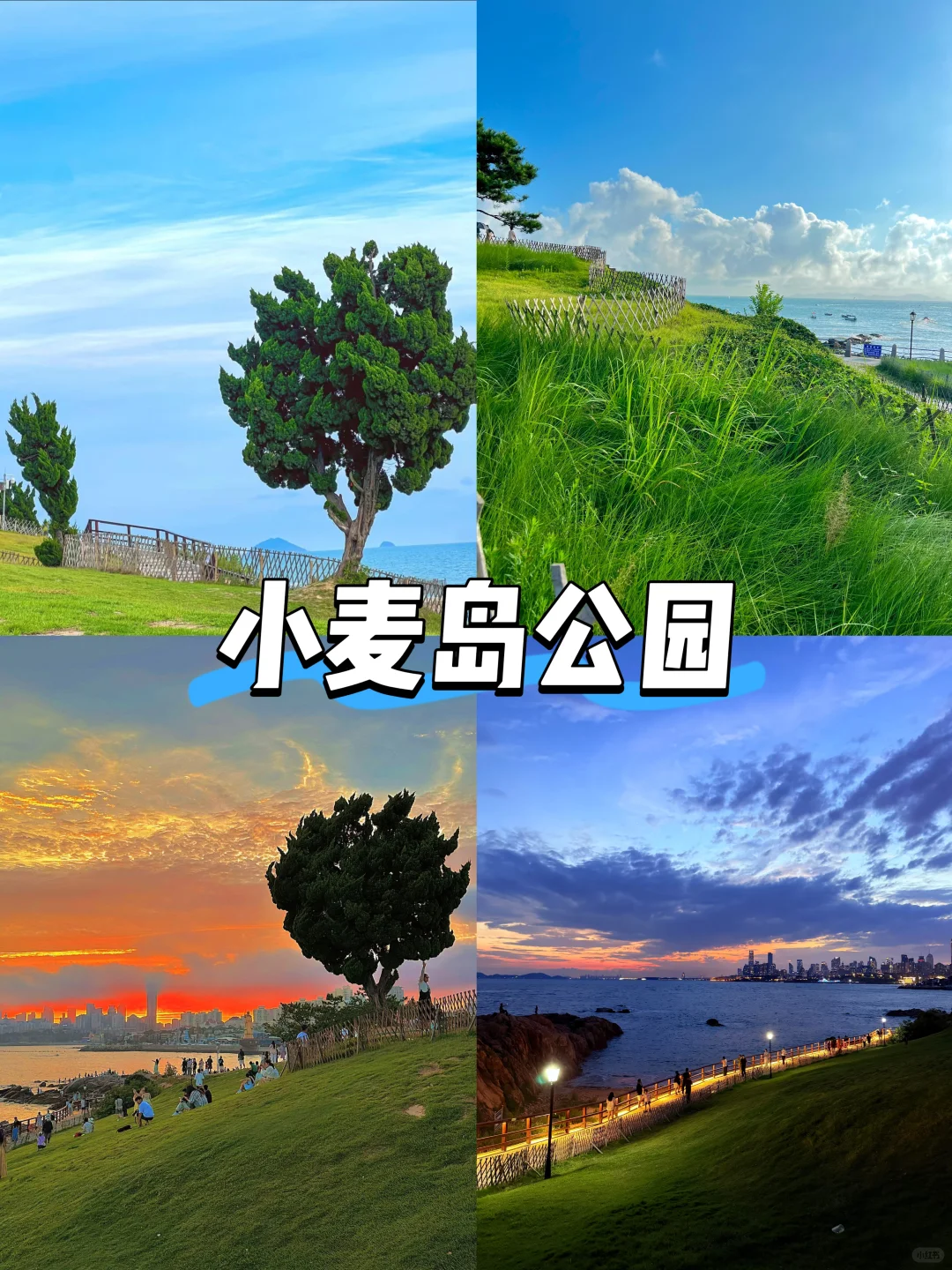 【山东篇-青岛】“有山有海的浪漫城市”
