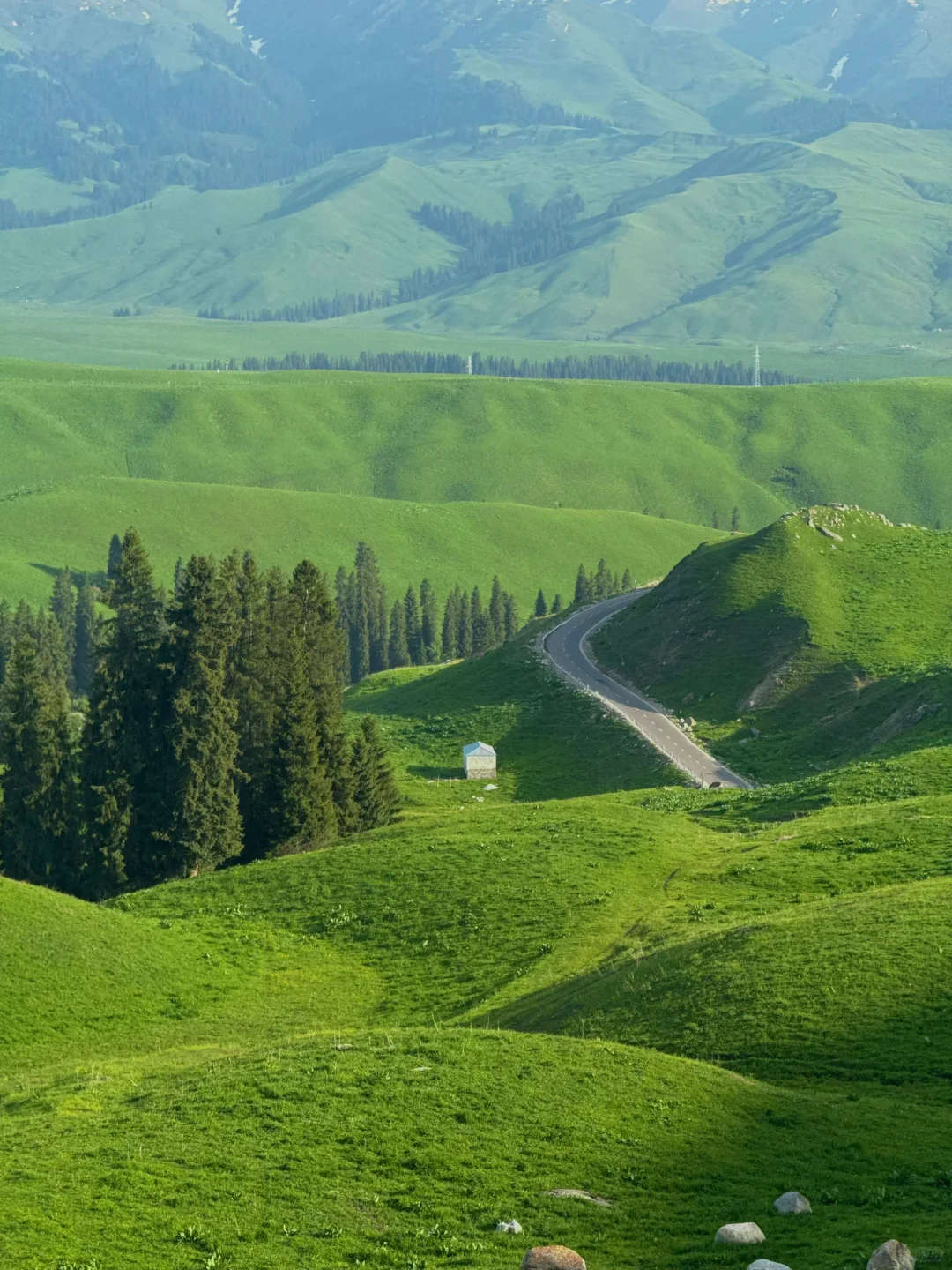 新疆这里今年一定会火！是live也是life🌲～