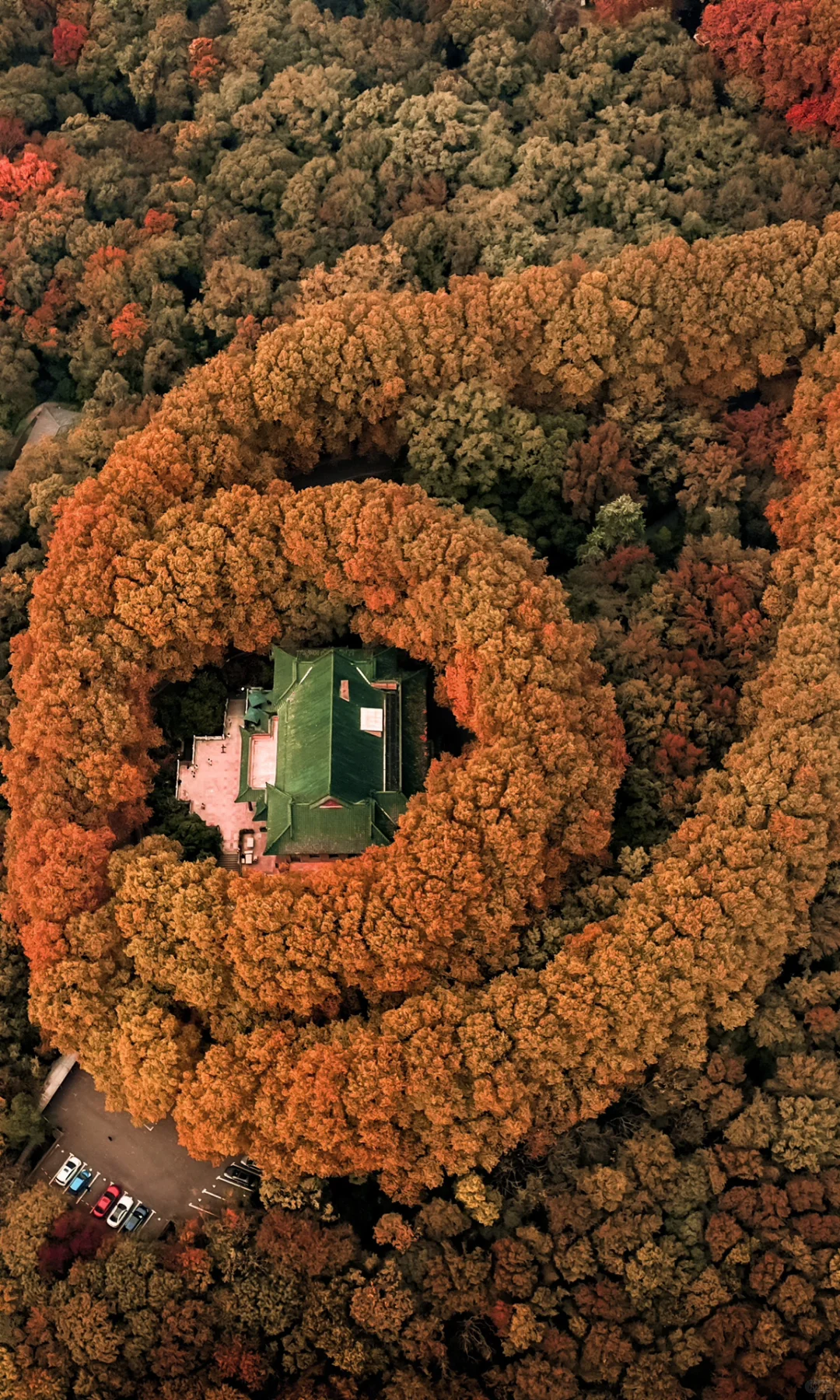 “推荐国内几个绝美秋色的世界级风景…
