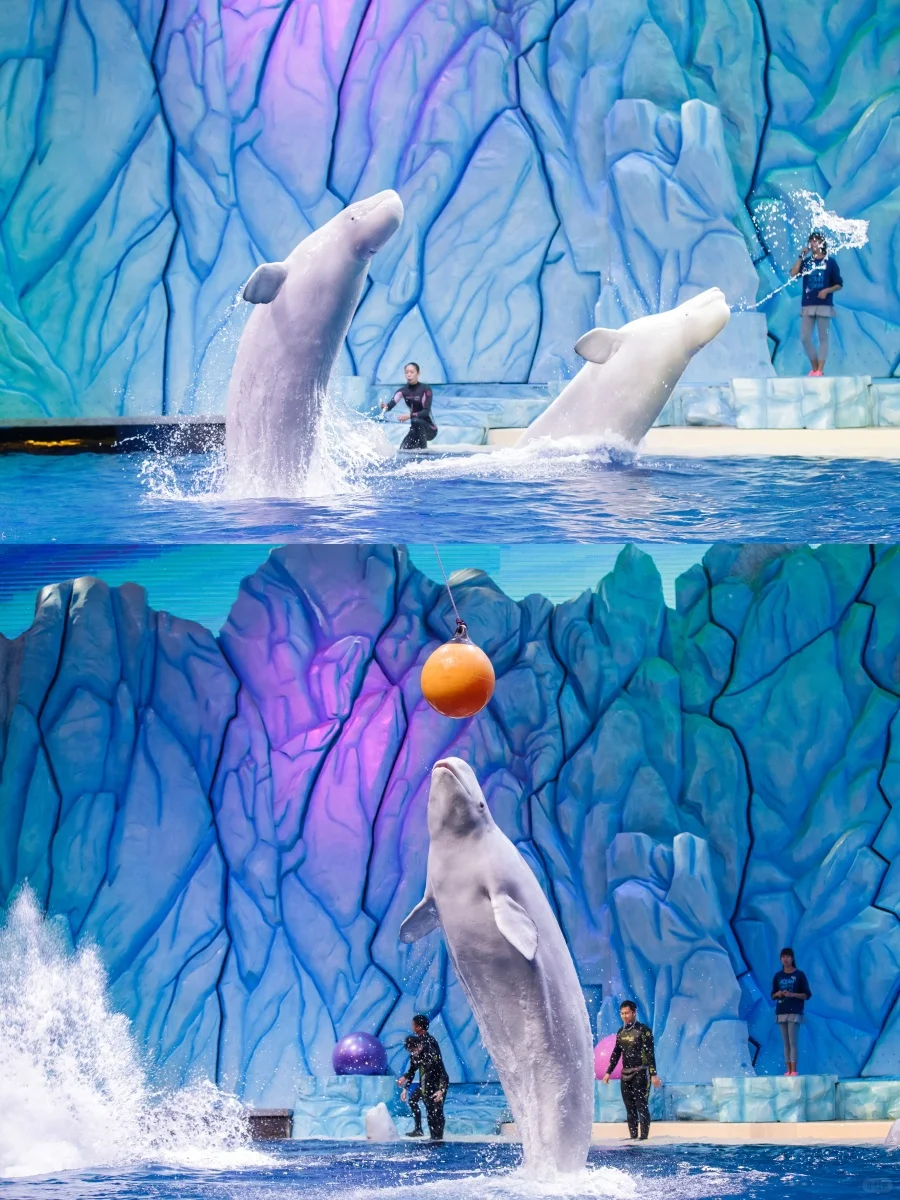 珠海长隆大事件！2天1晚价格直接“砍半”！